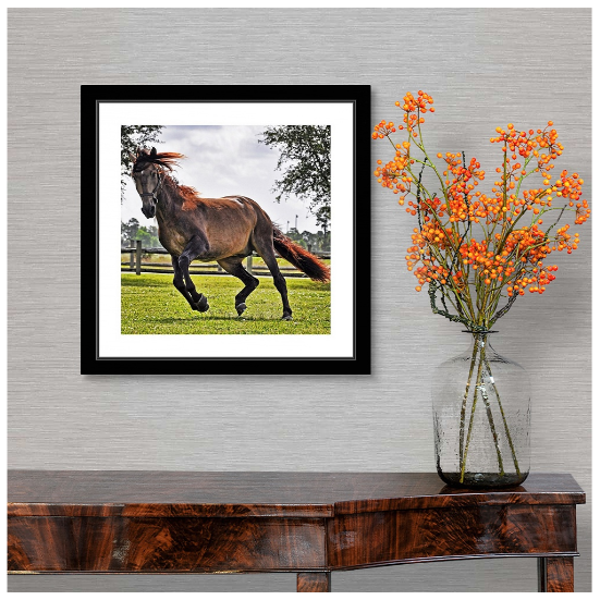 I DO NOT CHARGE A SITTING FEE. YOU CAN SELECT FROM VARIOUS SIZES AND PRICES OF MATTED AND FRAMED ARCHIVE QUALITY PRINTS.