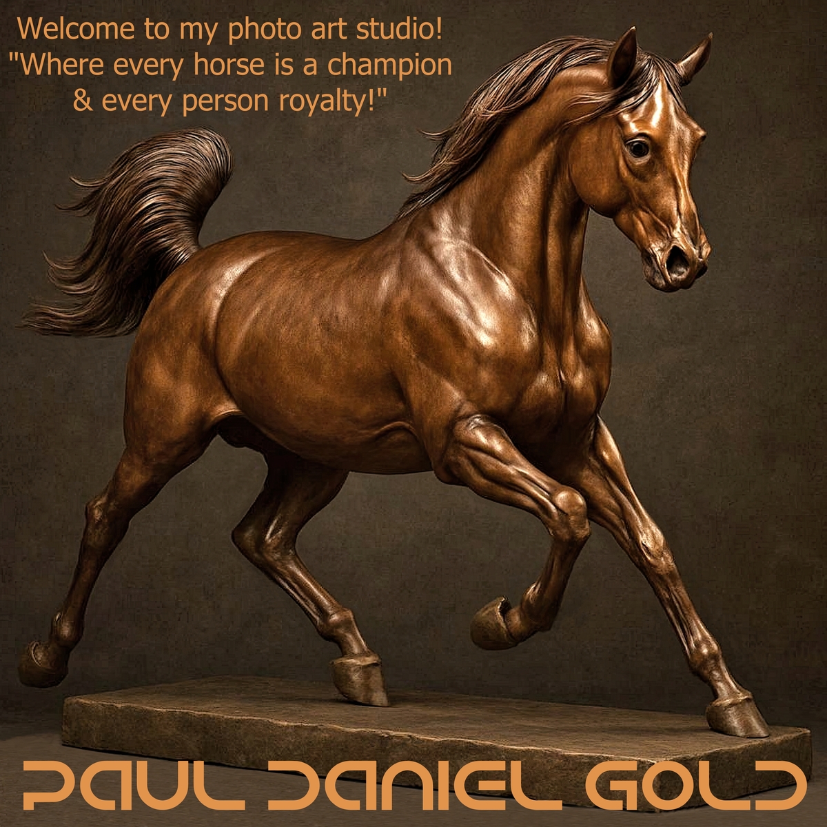 YOU CAN CONTACT ME DIRECTLY VIA TEXT AT 305 305 1232
