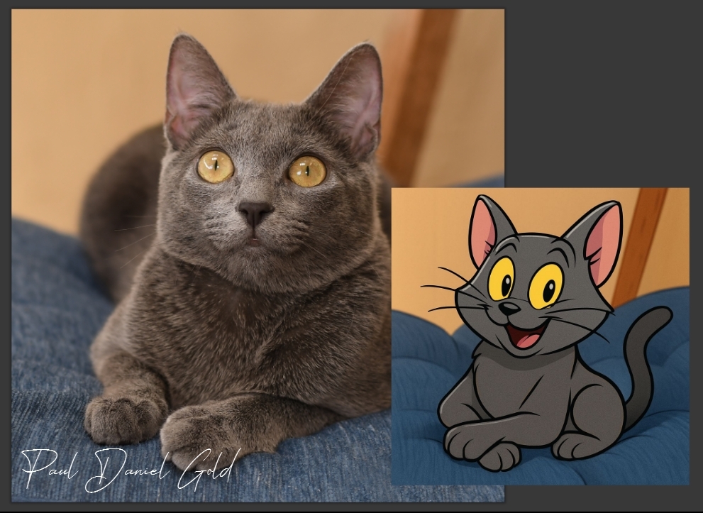BEFORE & AFTER!